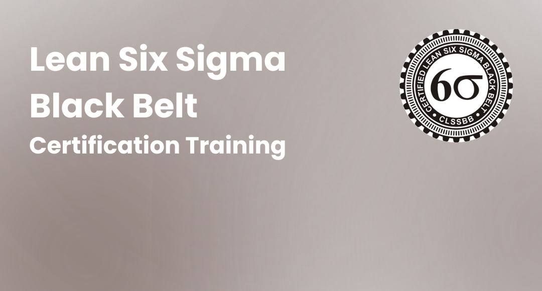 Lean Six Sigma Black Belt