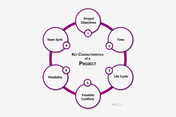 Project Characteristics: Key Elements That Define A Project – LQZW