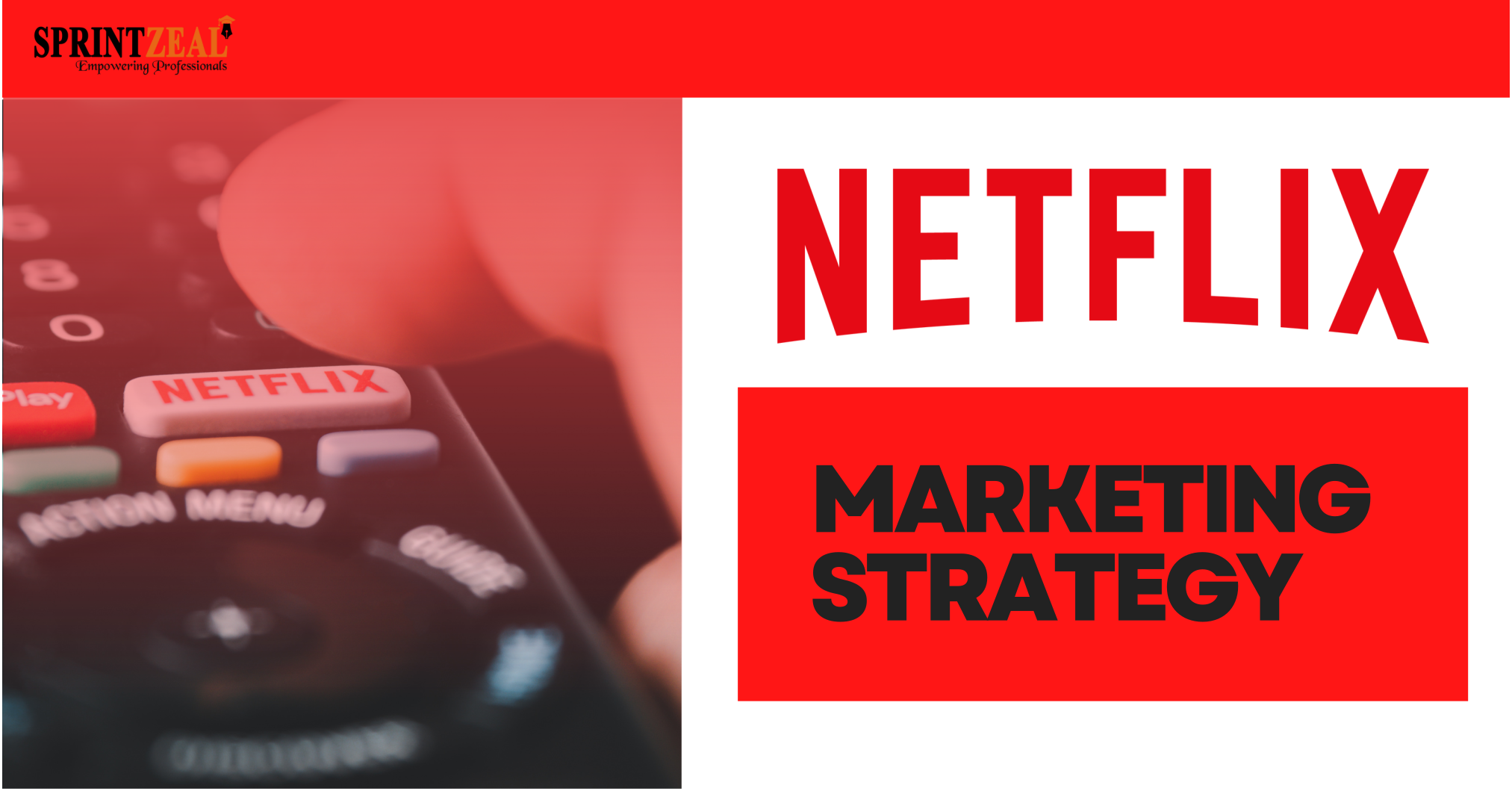 Netflix Business Strategy Explained – ILVRR