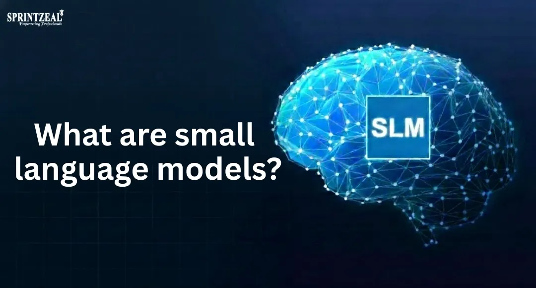 What Are Small Language Models?