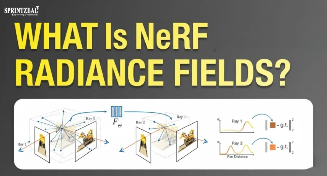 What Is NeRF (Neural Radiance Field)?