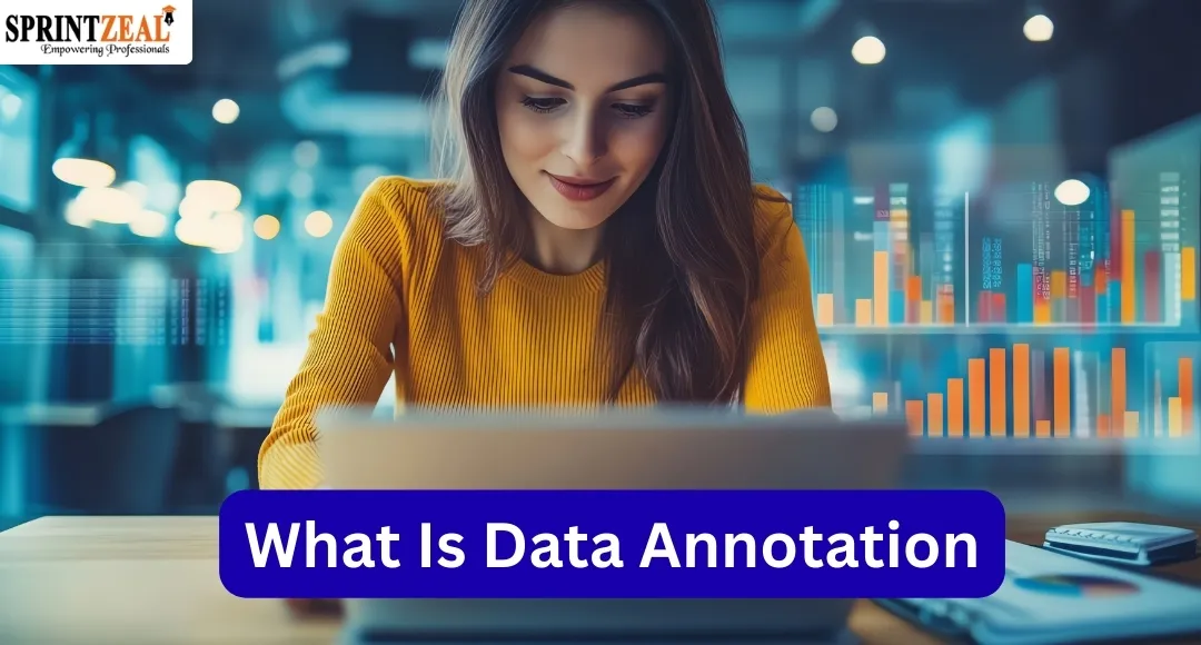 What is Data Annotation ? Developing High-Performance AI Systems What is Data Annotation ? Developing High-Performance AI Systems