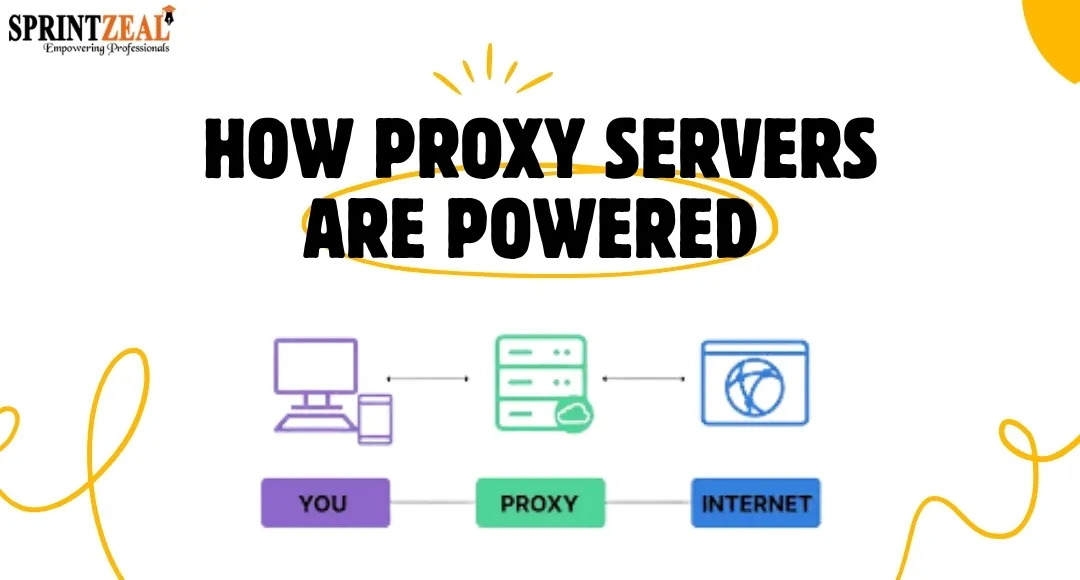 Behind the Proxy: How These Servers Power Scraping, Security, and Anonymity