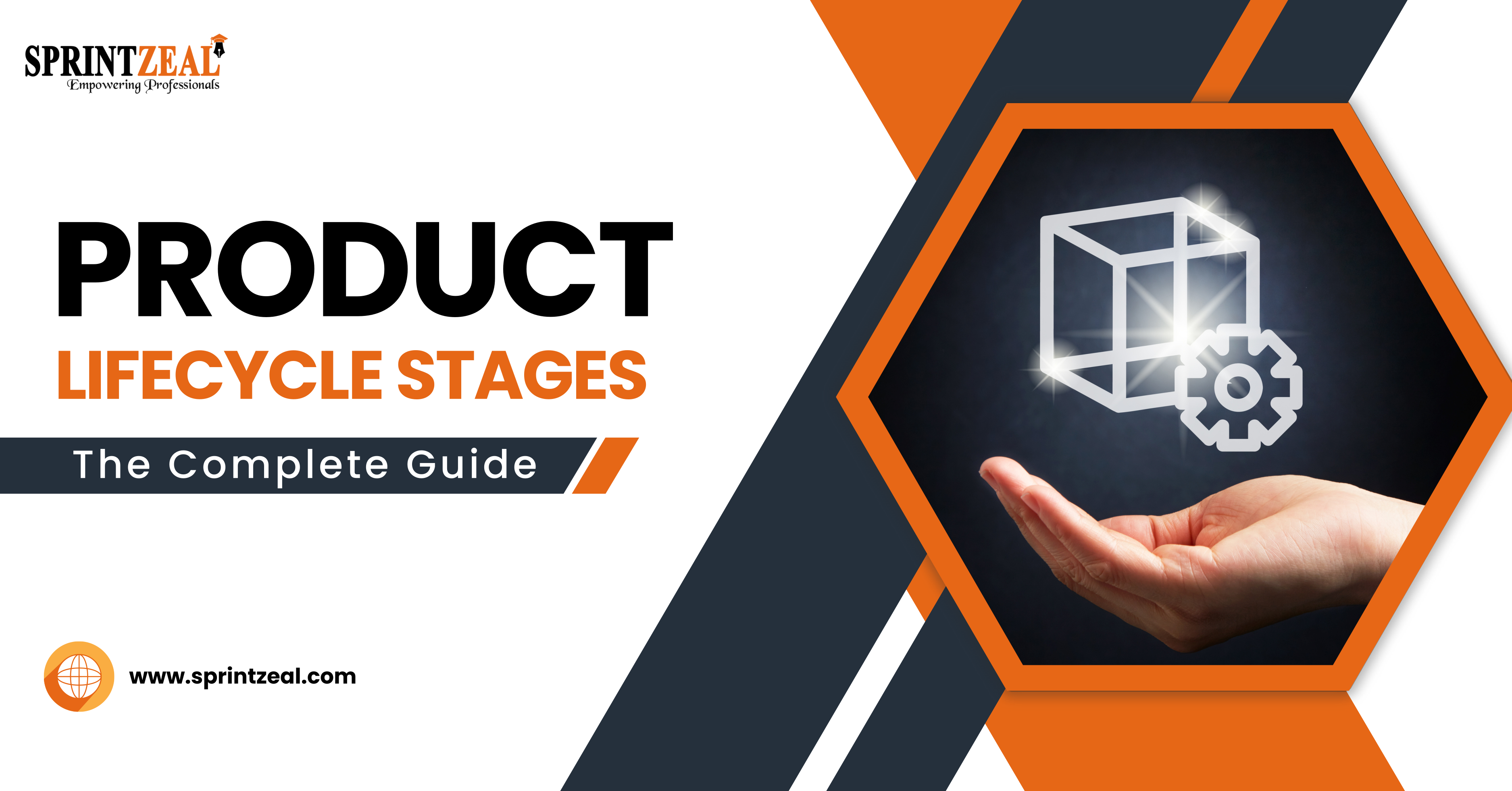 A Complete Guide to Product Life Cycle Stages 2024