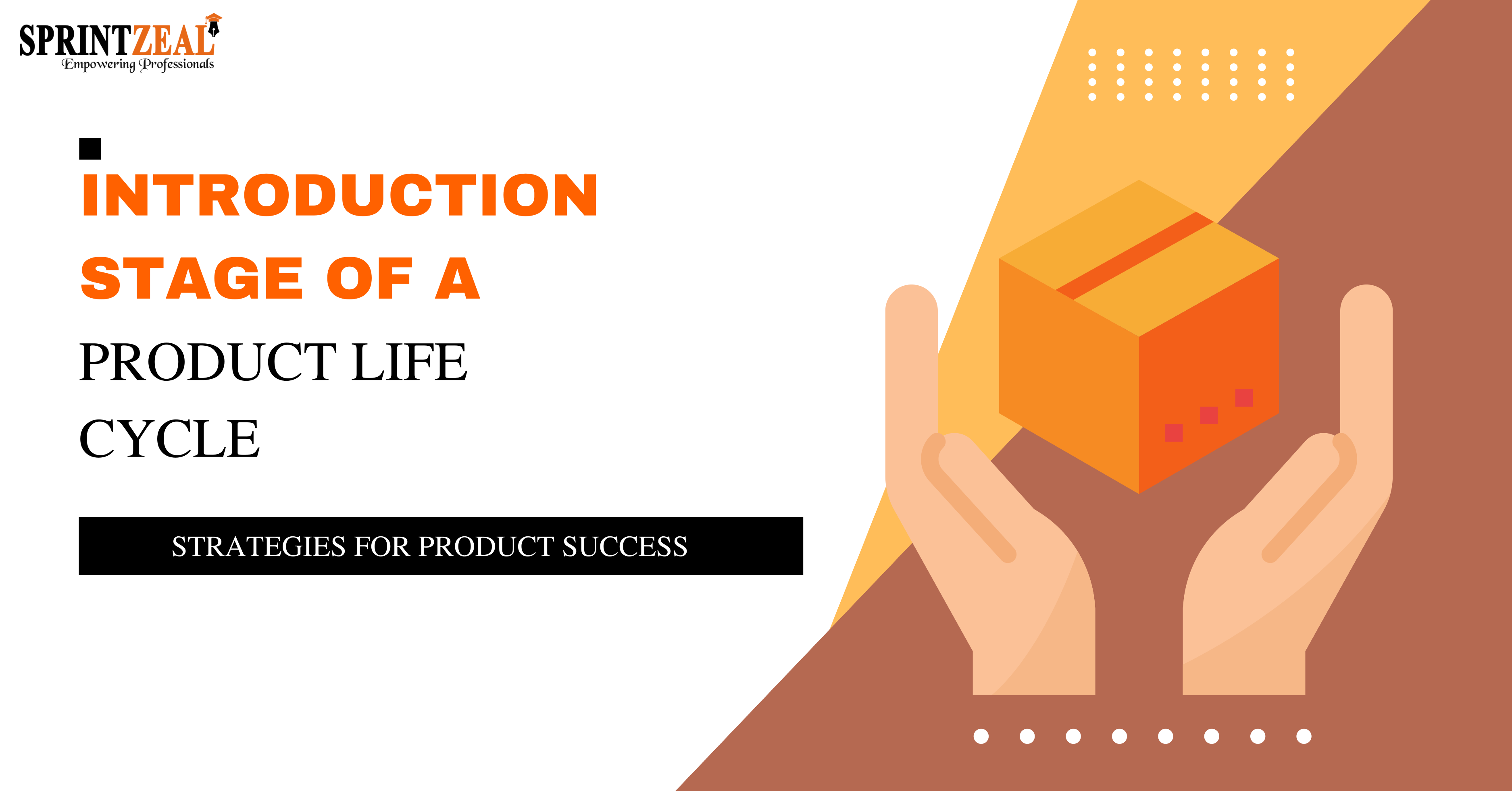 Introduction Stage of Product Life Cycle