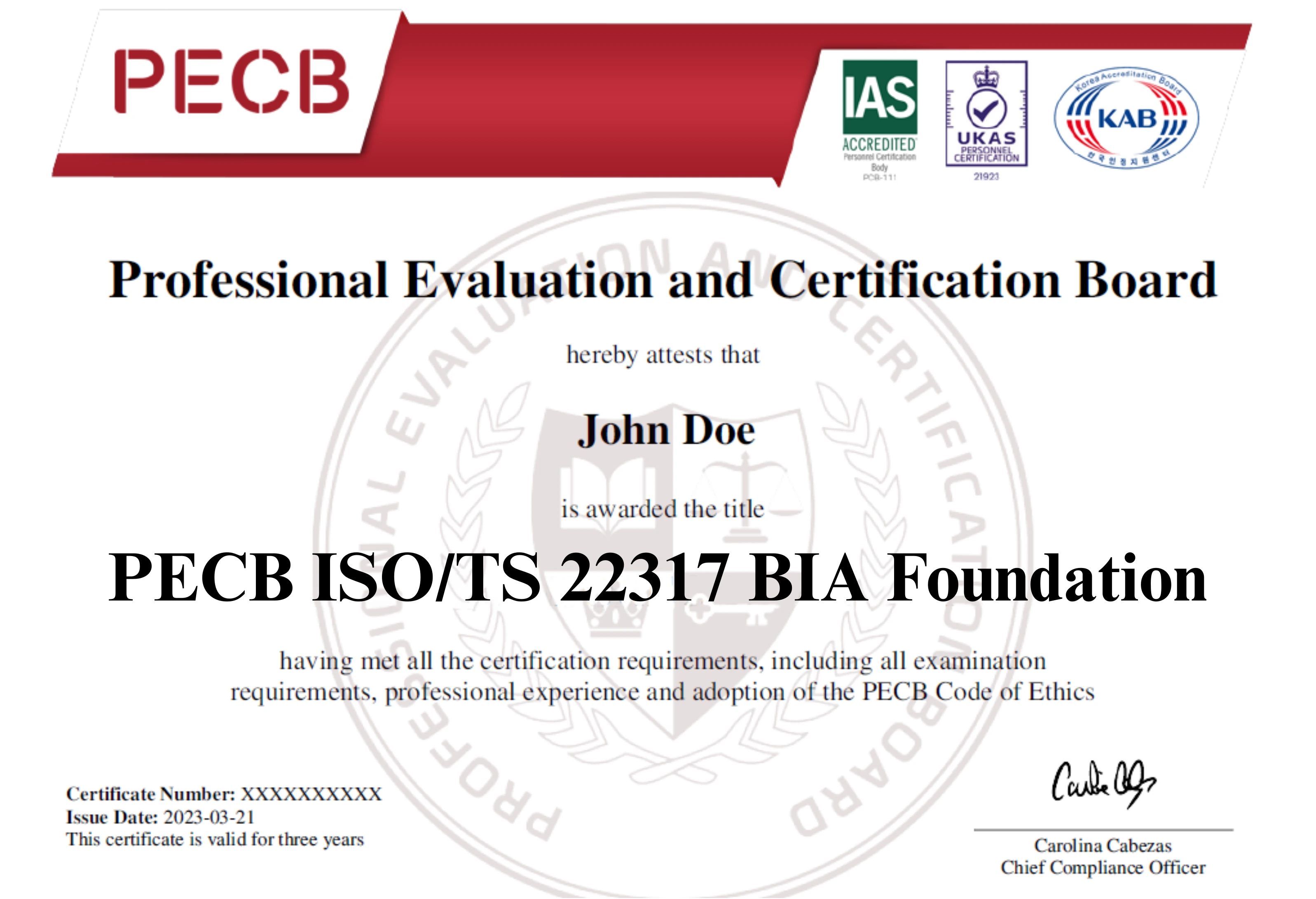 ISO/TS 22317 BIA Foundation