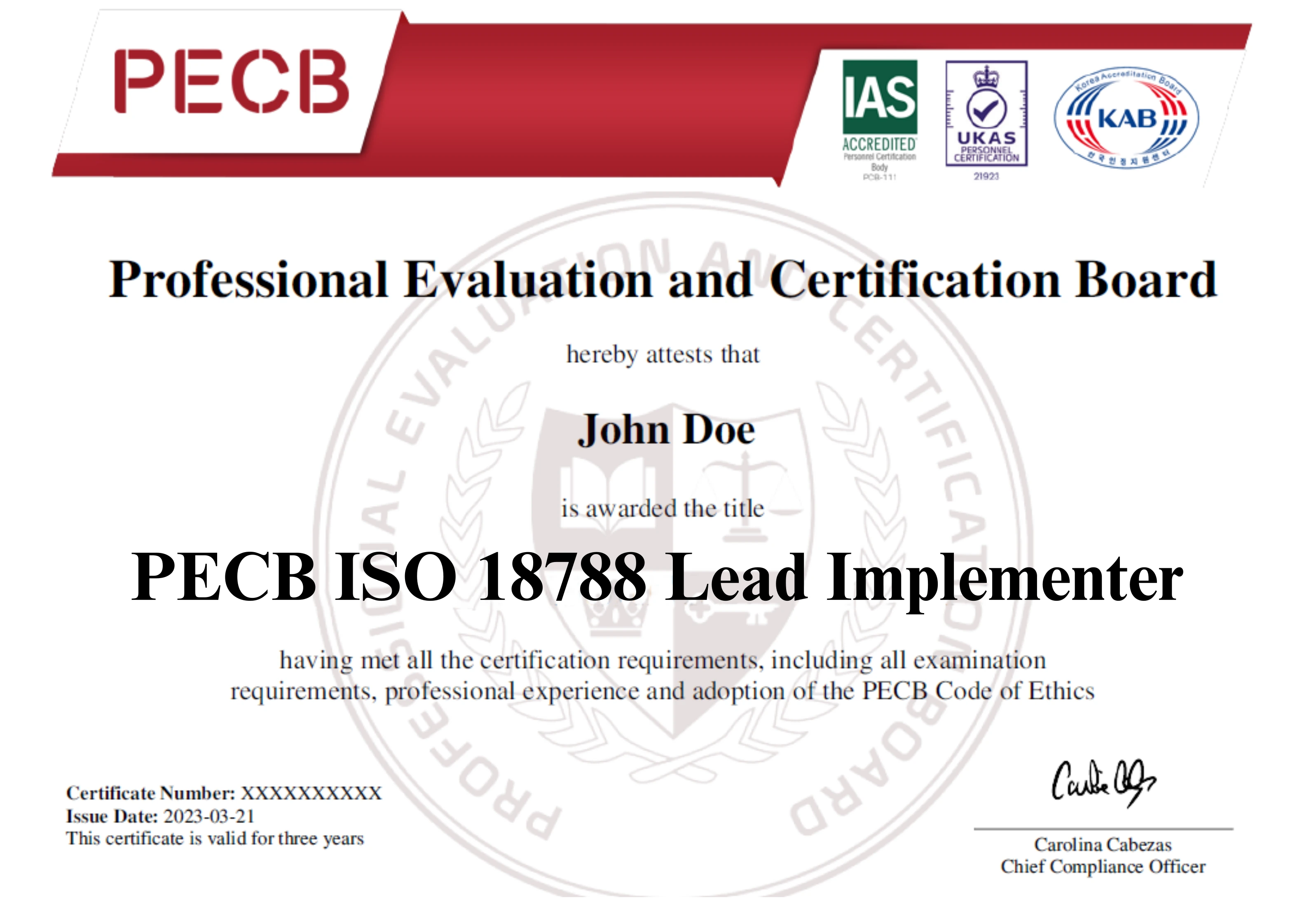 ISO 18788 Lead Implementer