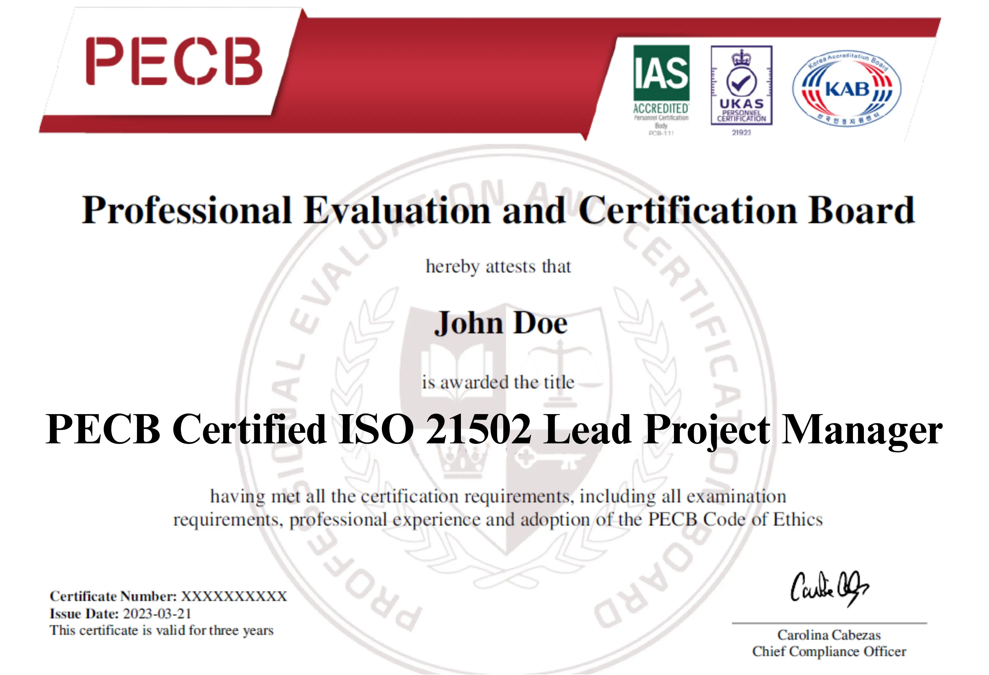 ISO 21502 Lead Project Manager