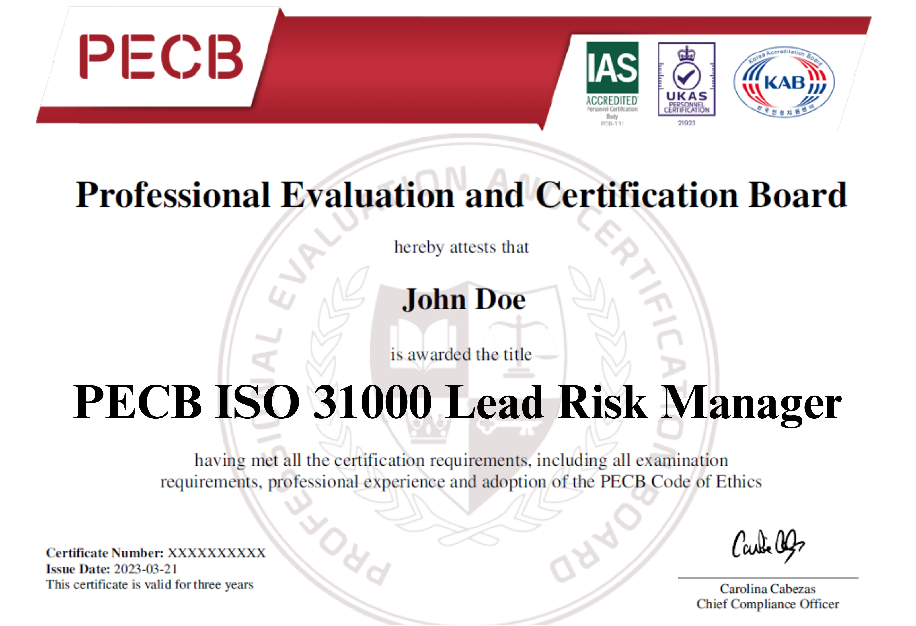 ISO 31000 Lead Risk Manager