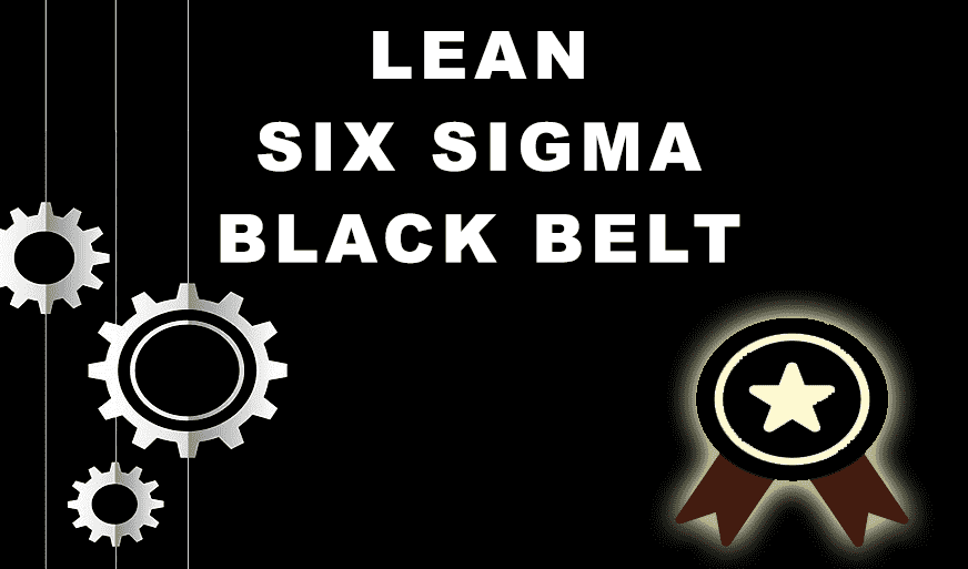 Lean Six Sigma Black Belt