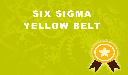 Six Sigma Yellow Belt